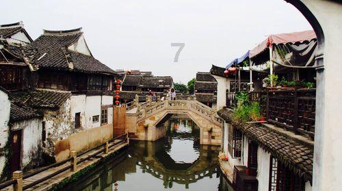 古怪巫师逃离村庄
